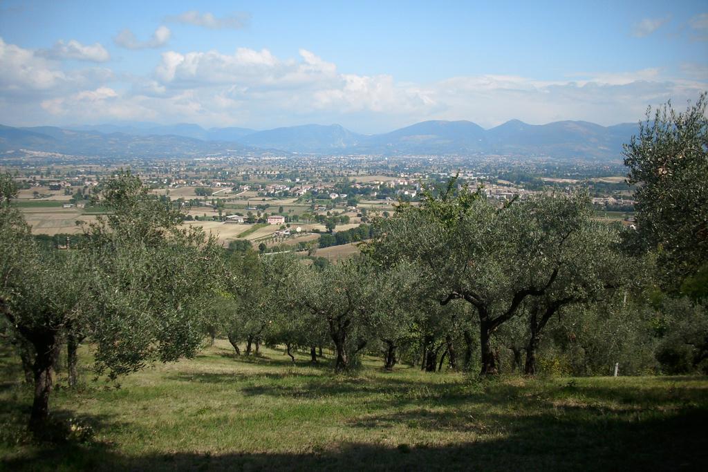 B&B Il Grotto Bevagna ภายนอก รูปภาพ