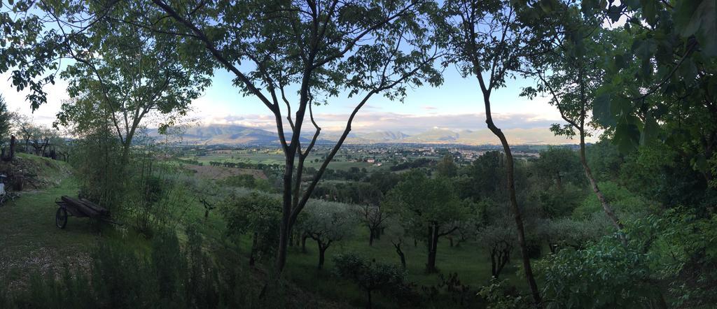 B&B Il Grotto Bevagna ภายนอก รูปภาพ