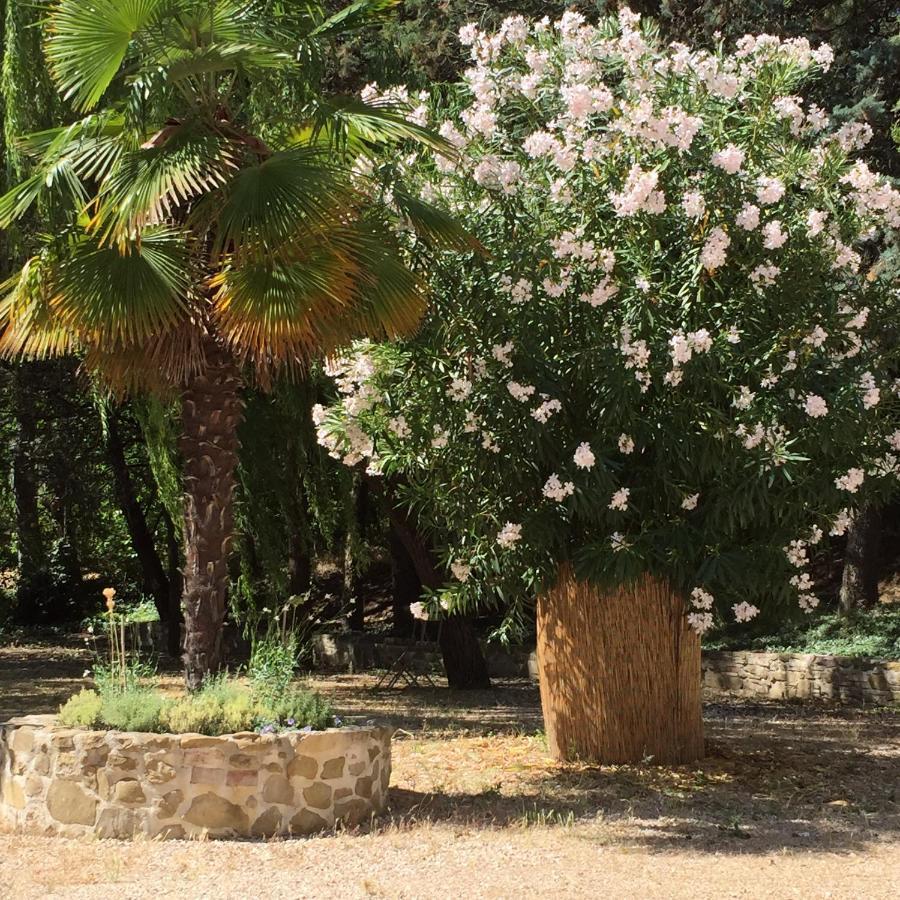 B&B Il Grotto Bevagna ภายนอก รูปภาพ