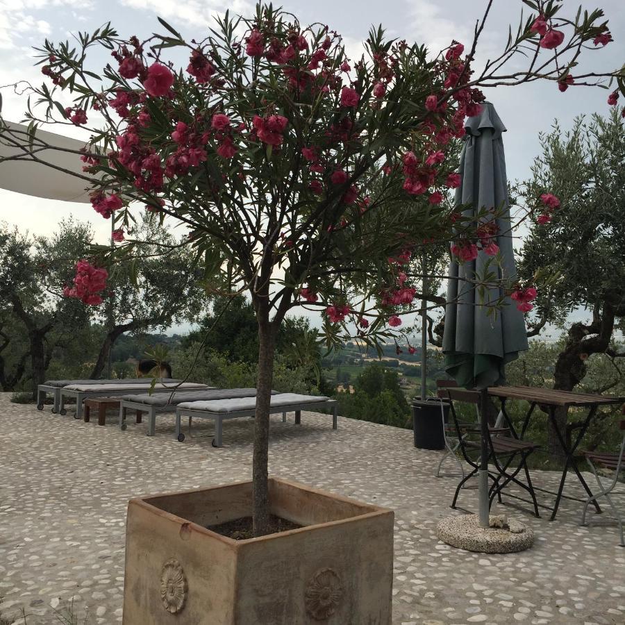 B&B Il Grotto Bevagna ภายนอก รูปภาพ